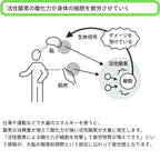 メンズレギンス / 抗酸化ウェア IOZ