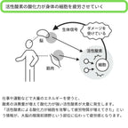 マルチクロス / 抗酸化ウェア IOZ