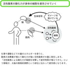 レディースレギンス / 抗酸化ウェア IOZ