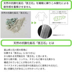 メンズ長袖クルーネックカットソー / 抗酸化ウェア IOZ